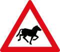 W311: Viehtrieb – Pferde