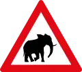 W357: Wildwechsel – Elefanten