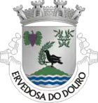 Wappen von Ervedosa do Douro