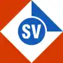 SV Motor (1989–1993)