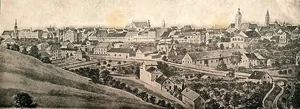 Blick vom Kiliansberg über das Tal des Marienbachs auf die Altstadt.Abbildung von 1915