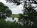 Der Sabie River bei Skukuza