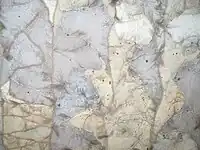 Lederseite