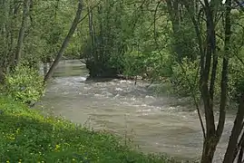 Bei Sachsenheim