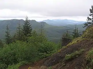 Saddle Mountain bei Astoria in der Northern Oregon Coast Range
