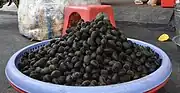 Samt Tamarinde (Dialium cochinchinense, Dialium indum)
