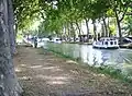 Canal de Jonction in Sallèles