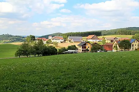 Sallach (2013)