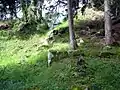 Grundriss eines Gebäudes, links hinten der Zugang