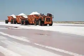 Salzgewinnung in Guerrero Negro.
