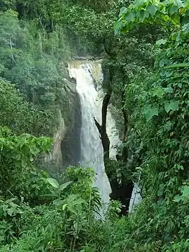 Saltillo quebra Inanéa