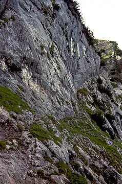 Oberer Dopplersteig (nach Abzweigung von Weg 462), Passage unterhalb des Zeppezauerhauses