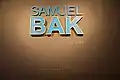 Samuel Bak-Museum
