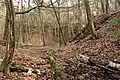 Wald an den Steinbrüchen (2021)