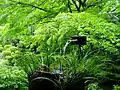 Natur – Garten