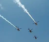 Sarang (Kunstflugstaffel)