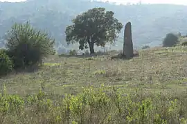 Menhir vor Tortoli
