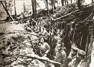 Die russische Kaukasusarmee bei Sarıkamış 1914