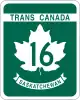 T16