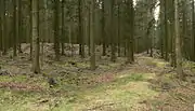 Blick auf die Gesamtanlage mit dem nordwestlichen Tordurchlass