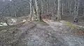 Blick vom Wall in südliche Richtung zur Uferbruchkante, an welcher der ehemalige Uferweg in den Wall führte, nun jedoch abgestürzt ist, 2015