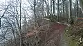 Blick auf den Wall aus nördlicher Position in südliche Richtung, 2015