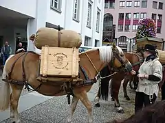 Via Sbrinz: Luzern(nicht Teil der Route)