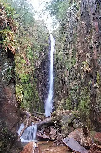 Der Scale Force Wasserfall