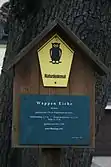 Information am Baum