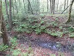 Blick vom Aussichtspunkt Schießstandwall. Vom Aussichtspunkt Schiessstandwall, der sich auf einem Schießstandwall aus dem Kaiserreich befindet, ist das Kerbtal der Mühlenbek betrachtbar.