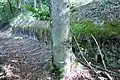 Schützengalerie Riedräbe Gampelen
