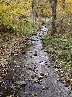 Schildau beim Forsthaus Neckelnberg