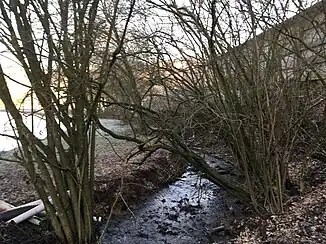 Der Horrenbach