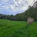 Blick ins obere Quellgebiet