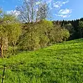 Unterlauf in der Ohrnaue