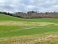 Wiesenquellmulde u. Schlenker Bach
