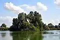 Die Insel im Teich