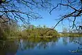 Der "kleine" Rensinger See
