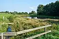 Teich am Mühlenbach in Ottenbüttel