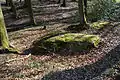 Naturdenkmal Findling Harkenstein