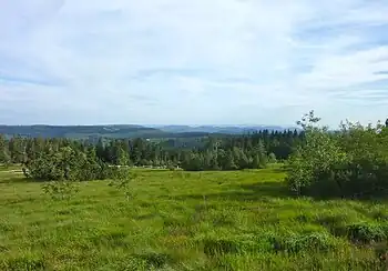 Aussicht vom Schliffkopf nach Süden