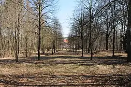 Achse auf das Schloss