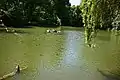 Großer Weiher