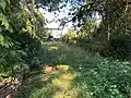 Gartenanlage Sommer 2019