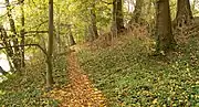 Der Ringwall am Wassergraben