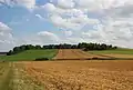 Blick auf das heutige Areal, auf dem sich Schloss Tiergarten einst befand (Nordseite des Kratzberges)