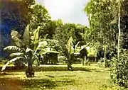 Schlosspark Berhometh 5