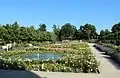 Schlossparterre im Rosarium Baden