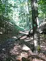 Schluchtweg zum Naturdenkmal