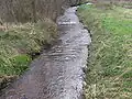 Schmalwasser bei Bargfeld.